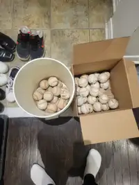 Rawlings Baseball balls bundle and batting tee