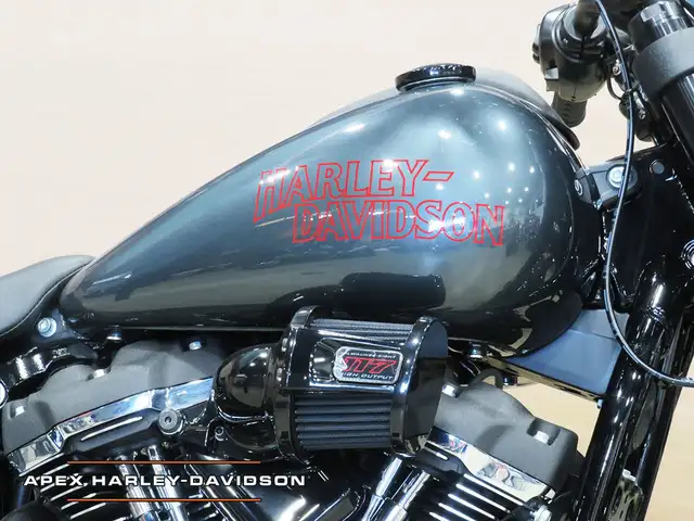 2025 Harley-Davidson FXLRS - Low Rider S in Street, Cruisers & Choppers in Cambridge - Image 15