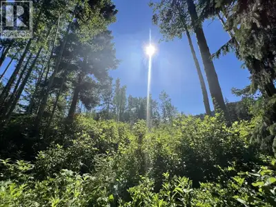 Building lot close to downtown!! This 1.3 Acre lot is at the base of the ski hill, minutes to the cr...