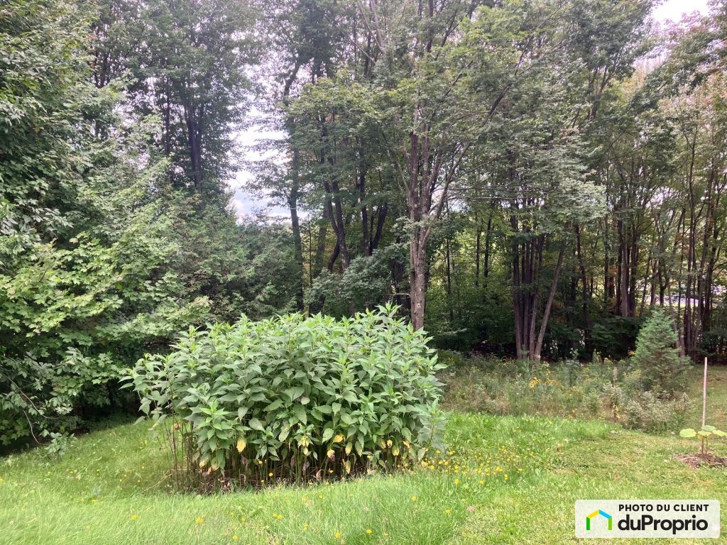 $140,000 - Starting at - Residential Lot for sale — photo 2
