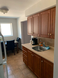 Updated TWO bedroom apartment in FERGUS