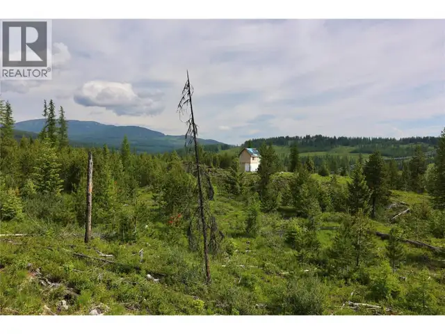 2375 BELCHROME FSR Road Bridesville, British Columbia in Land for Sale in Penticton - Image 11