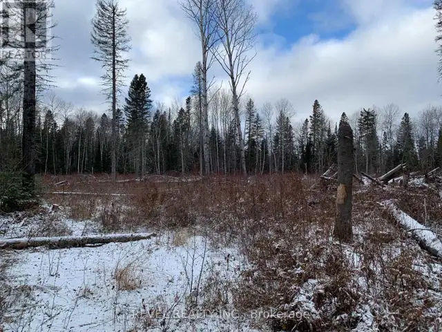 PCL8547 HWY 101 HIGHWAY W Timmins (TCTDAR Outside), Ontario in Land for Sale in Timmins - Image 4