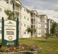 Two bedroom in Leduc -Pet Friendly~ Washer and Dryer