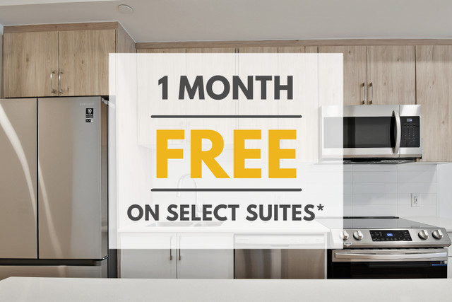 Fifth + Bank - One Bedroom Penthouse Plus Den for Rent in Glebe in Long Term Rentals in Ottawa