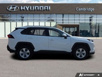 Discover the efficient and versatile 2020 Toyota RAV4 XLE. Engineered for adventure and daily commut... (image 5)