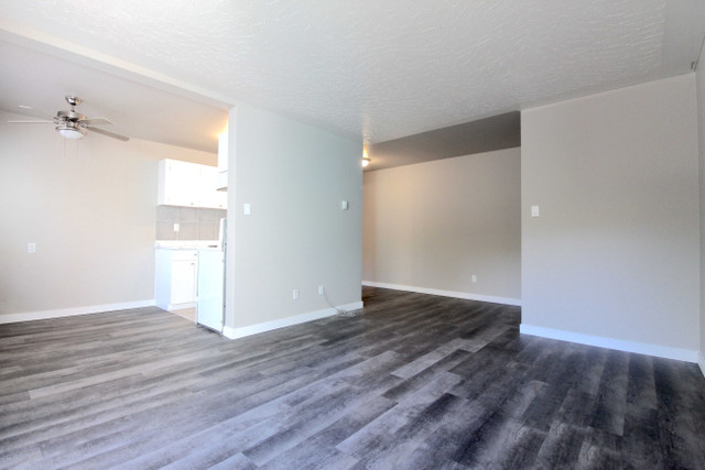 Queen Mary Park Apartment For Rent | Chelsey Apartments in Long Term Rentals in Edmonton - Image 2