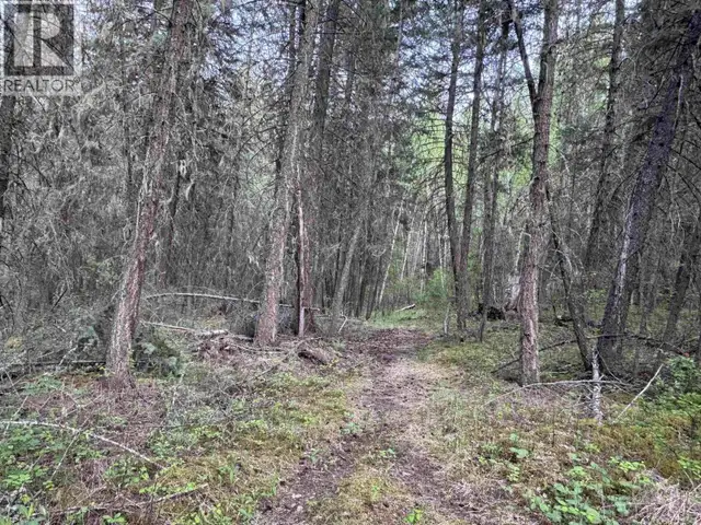 550 DOG CREEK ROAD Williams Lake, British Columbia in Land for Sale in Williams Lake - Image 14