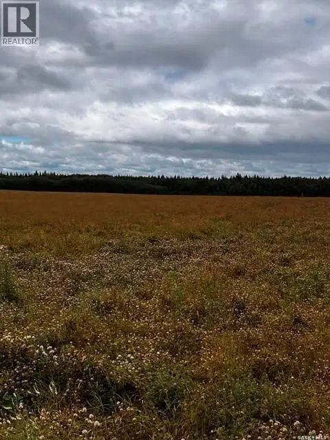Larsen Ranch Big River Rm No. 555, Saskatchewan in Land for Sale in Meadow Lake - Image 10