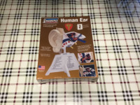 Modèle de l’oreille éducative / Ear kit educational
