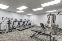 1 Month Free Rent Visit our Website: https://www.capreit.ca/apartments-for-rent/mississauga-on/park-... (image 3)