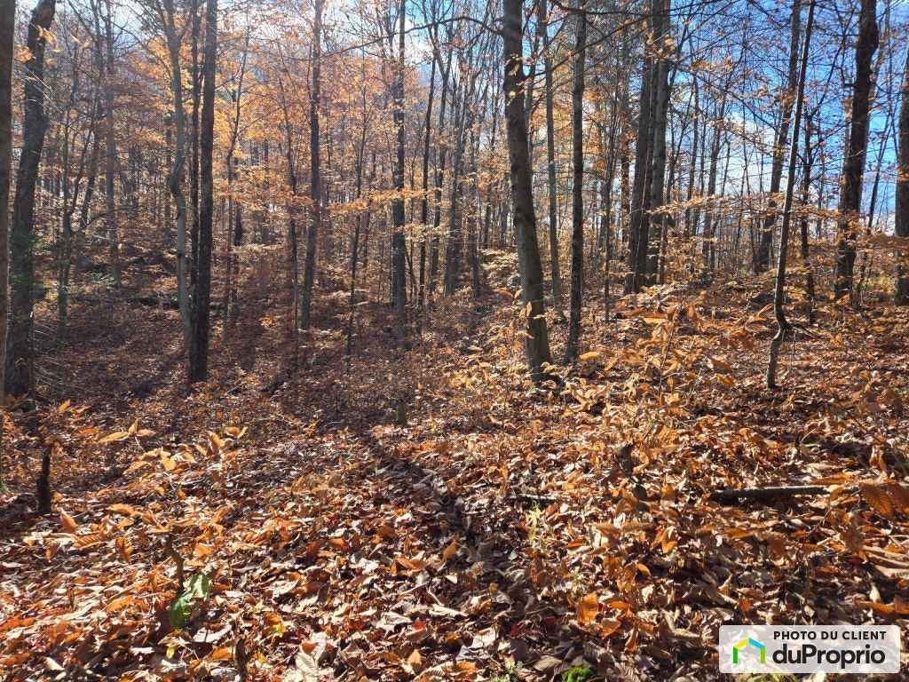 $115,000 - Residential Lot for sale in Gore — photo 3