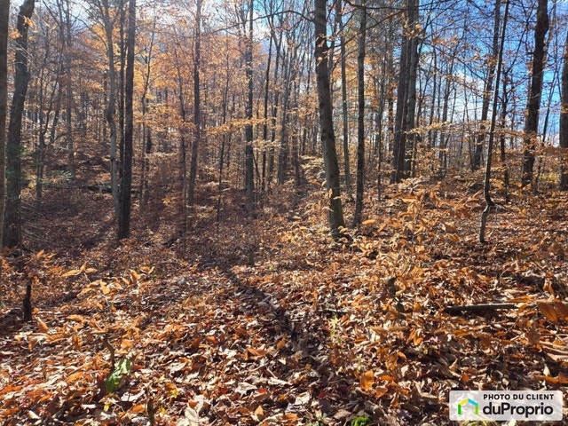 $115,000 - Residential Lot for sale in Gore — photo 3