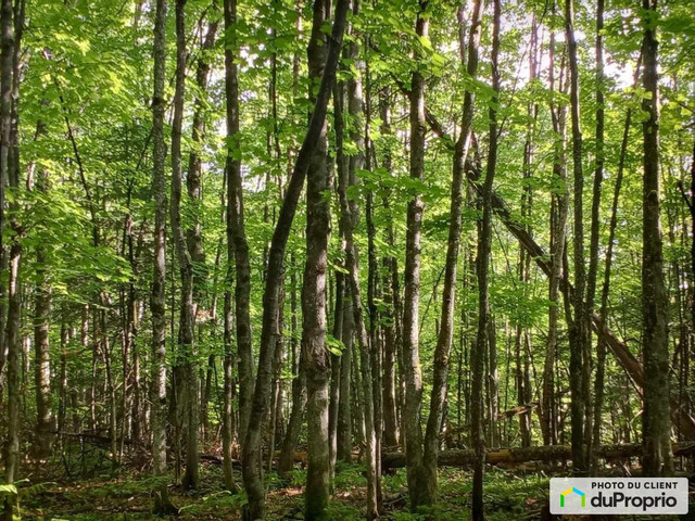 149 000$ - Terrain résidentiel à vendre à Rawdon dans Terrains à vendre  à Lanaudière - Image 2