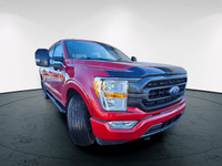 Experience the power and versatility of the 2021 Ford F-150 XLT in a striking red finish with a robu... (image 4)