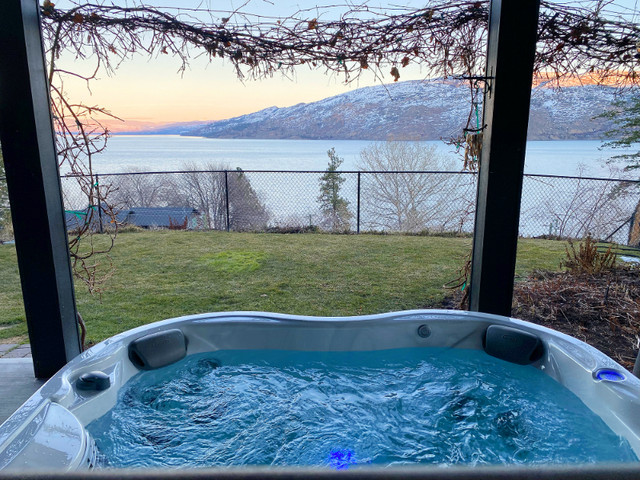 JUMP INTO THE JACUZZI TRUCKLOAD SALE! in Hot Tubs & Pools in Kelowna - Image 3