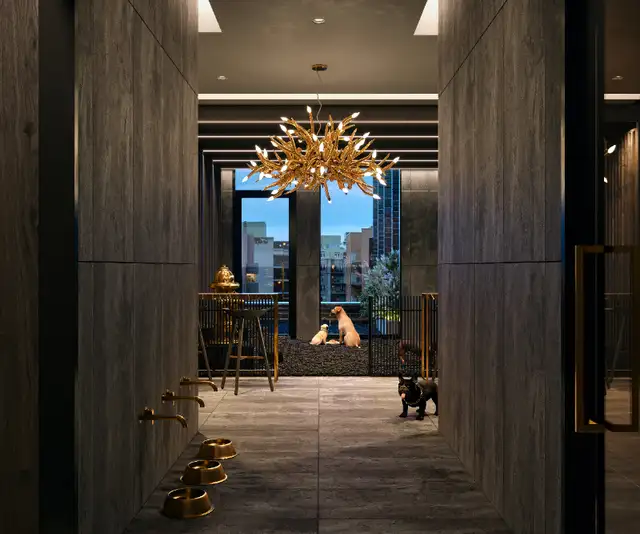 ️Fantastic Assignment Sale - Alias Condominium️ in Condos for Sale in City of Toronto - Image 7