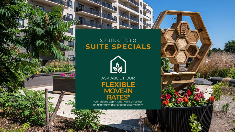 996 Paisley Rd. 1 Bedroom Apartment for Rent Long Term Rentals