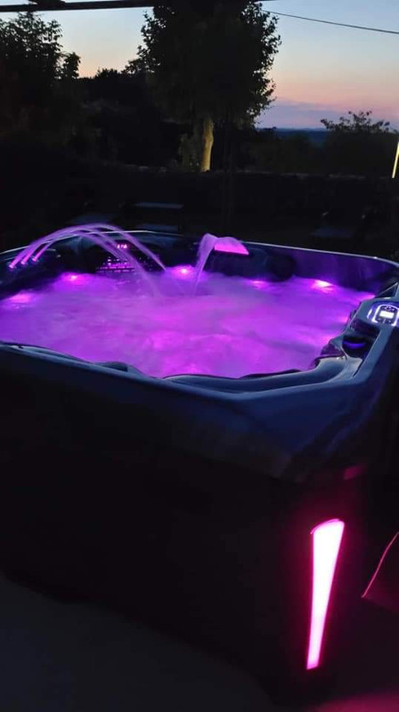 SWIM SPA & HOT TUBS THE ORION NOW AT FACTORY HOT TUBS!!! in Hot Tubs & Pools in Oakville / Halton Region - Image 4
