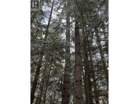 DL 7054 W 16 HIGHWAY McBride, British Columbia Quesnel Cariboo Area Preview