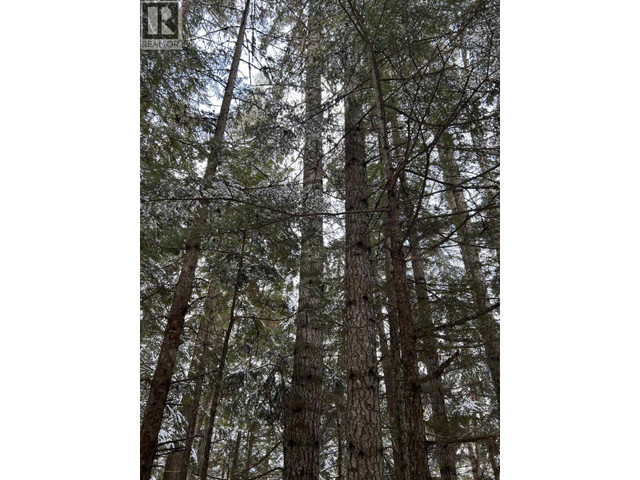 DL 7054 W 16 HIGHWAY McBride, British Columbia in Land for Sale in Quesnel