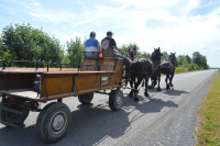 wagon rides / carriage rides