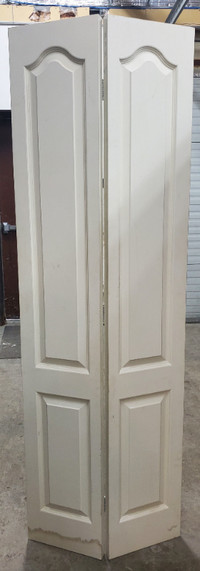25" x 75" bi-fold door