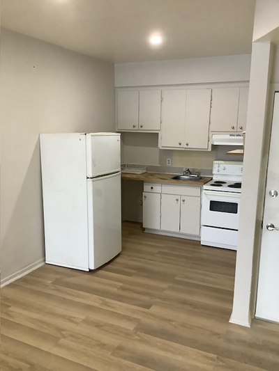 Logements à louer au Plateau, à proximité du métro Mt-Royal et de tous les services. Plusieurs logem...