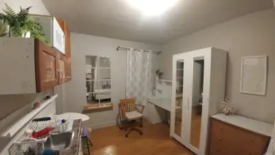 Cozy studio with private washroom, Steeles Yonge Bathurst