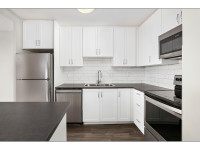 1 Bedroom Apartment for Rent - 380 Gibb St