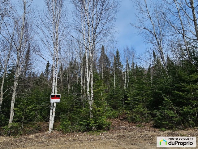 $105,000 - Residential Lot for sale in St-Adolphe-D'Howard — photo 1