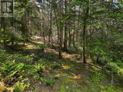 Bare land in the sought out Lighthouse area! A subtle pathway leads you through this quiet 0.33 acre...