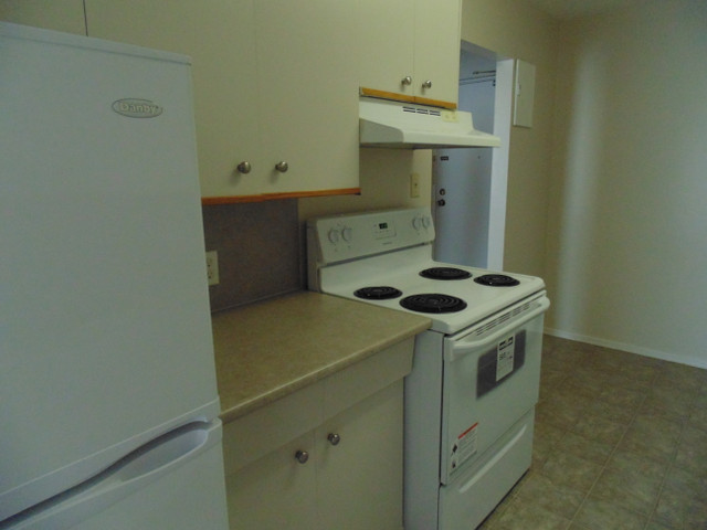 Parkwood Square  - 1 Bedrooms Suites at Great Rates in Long Term Rentals in Winnipeg - Image 3