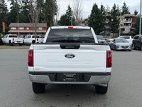There is a reason the F-150 dominates Vancouver Island job sites and back roads. It is built for peo... (image 3)
