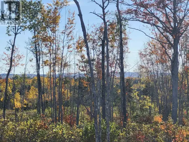 LOT 6 Tattrie Settlement Road French River, Nova Scotia in Land for Sale in New Glasgow - Image 10