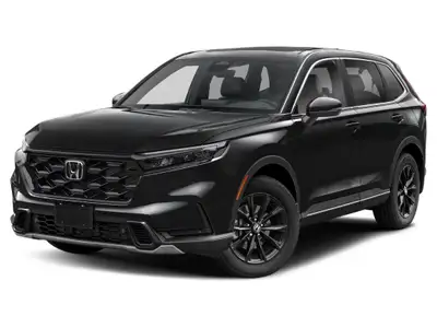 Another black stallion here! Accident free, dealer maintained and comes to you with the balance of t...