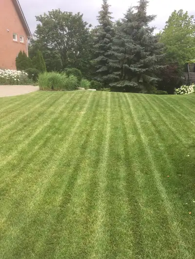 LAWN MAINTENANCE / SPRING CLEAN UP / OVERSEEDING / MULCH / SOD +, View more