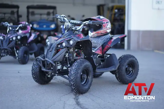Brand New Electric Quad Genesis - Electric ATV 1000w For Kids On in ATVs in Edmonton - Image 4