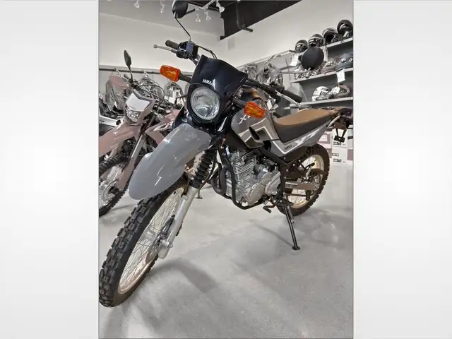 2024 Yamaha XT250 in Street, Cruisers & Choppers in Grand Bend - Image 10