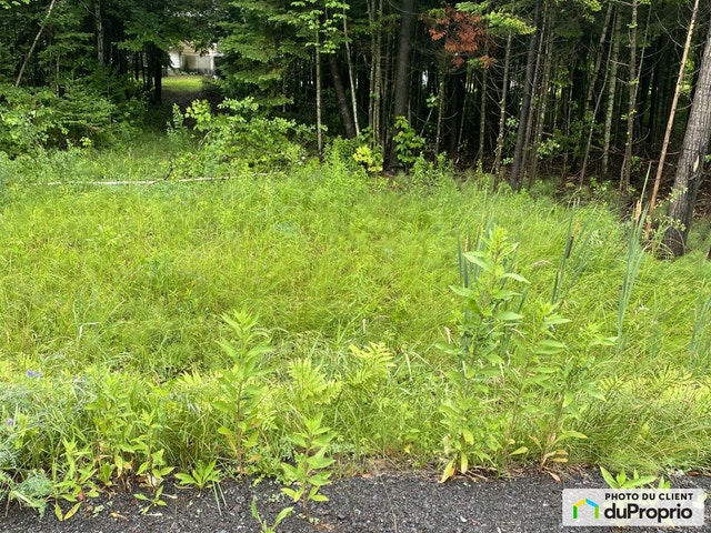 $30,000 - Residential Lot for sale in Val-Alain — photo 2