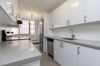 Skyliner - 1 Bedroom Apartment for Rent City of Toronto Toronto (GTA) Preview