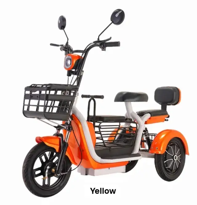 High-Speed Electric Tricycle Lithium Battery 3-Speed, Brand New, in eBike in Oshawa / Durham Region - Image 5