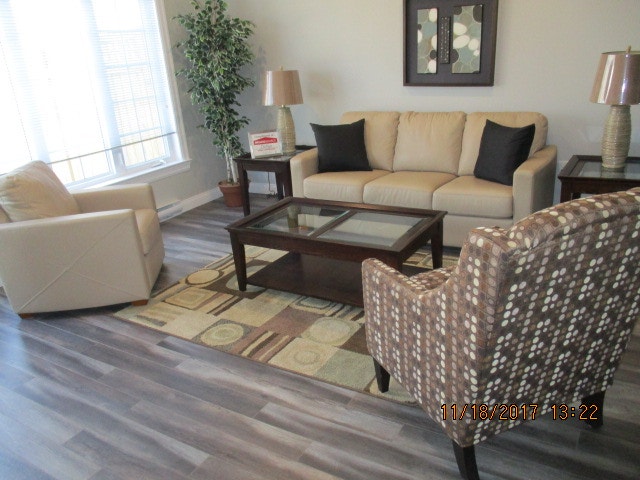 PET FRIENDLY APARTMENTS FREDERICTON KIJIJI visual data 4