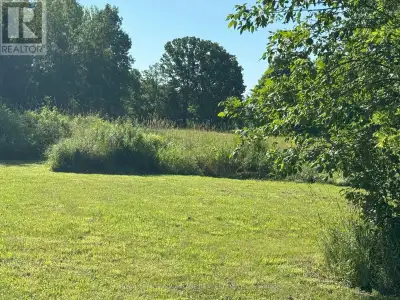 Conveniently located on the corner of Noonan Rd. and county Rd. 42 this almost 4 acre lot has 2 dril...