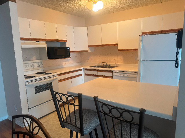 Condo Living in Condos for Sale in Thunder Bay - Image 3