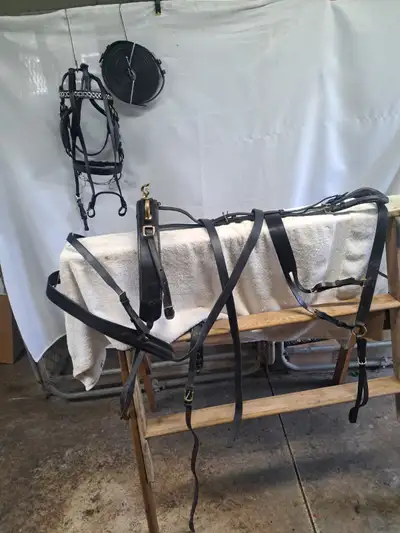 PONY / COB DRIVING HARNESS, View more