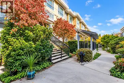 Your own rooftop retreat at NOMA in Mosquito Creek! Enjoy mountain and water views from the private...