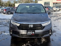 Certified. EX-L|DVD|CarPlay|Heated Seats|One Owner 2024 Honda Odyssey EX-L EX-L|DVD|CarPlay|Heated S... (image 1)