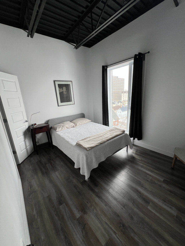 BEAU CONDO - 1 chambre - Boul. Maisonneuve in Long Term Rentals in Gatineau