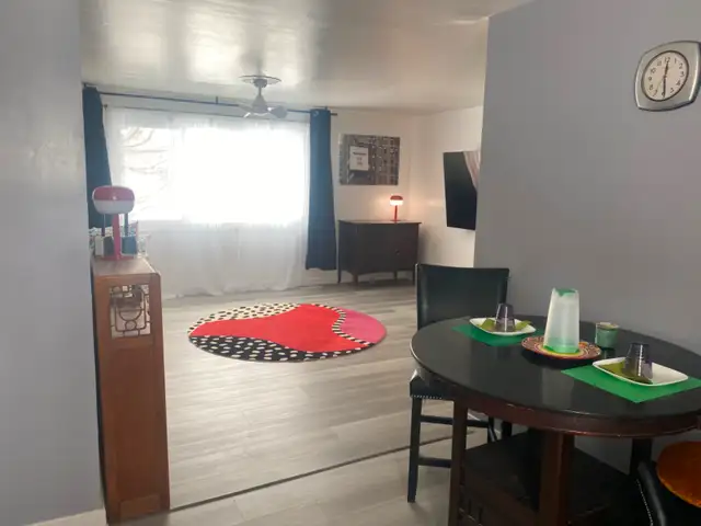 $1000 All in! Furnished Kitchenette Apartment in Long Term Rentals in Edmonton - Image 14